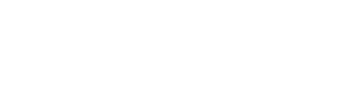 Elzen Beauty Logo